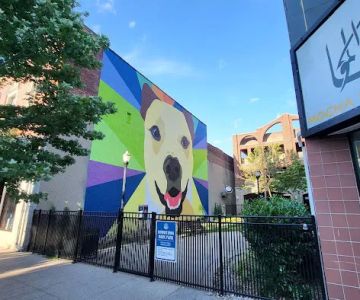 Downtown Bark Park
