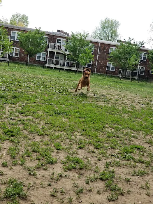Old Louisville Dog Run (Members Only) 7