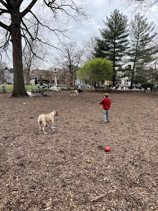 Morton Avenue Dog Park 3
