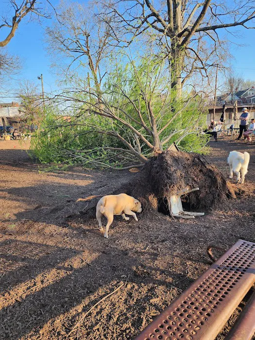 Morton Avenue Dog Park 9
