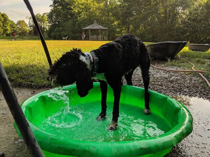 Cochran Hill Dog Run (Members Only) 7