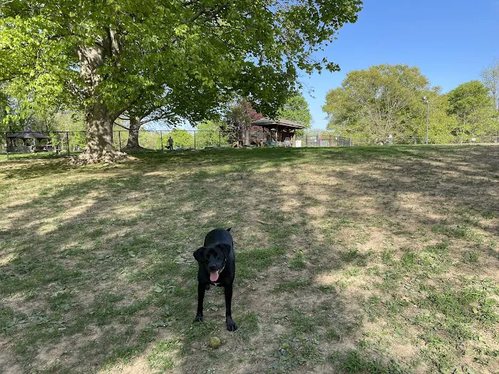 Cochran Hill Dog Run (Members Only) 5
