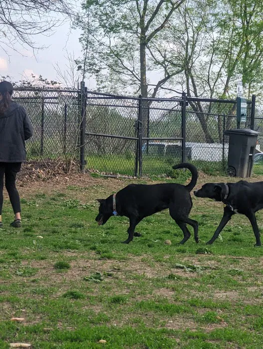 Cochran Hill Dog Run (Members Only) 3