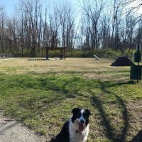 Highland Dog Park (Members Only) ico