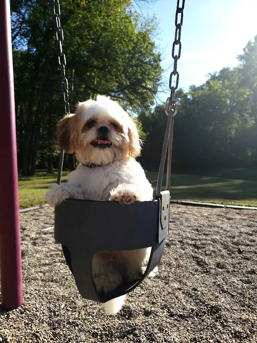 Highland Dog Park (Members Only) 10