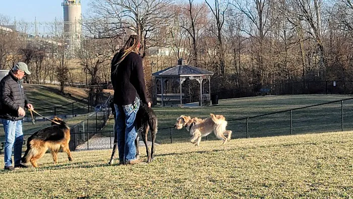 New Albany Dog Park 4