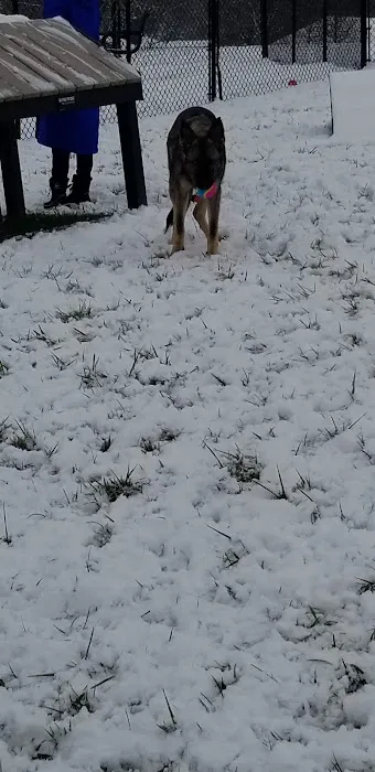 New Albany Dog Park 5
