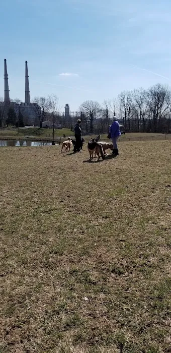 New Albany Dog Park 9