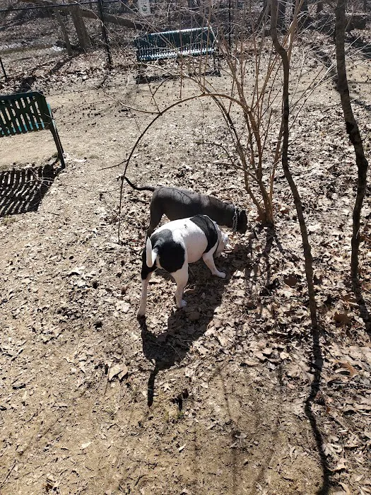 Waverly Dog Run 6