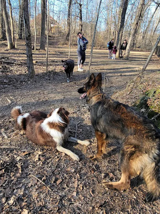 Waverly Dog Run 9