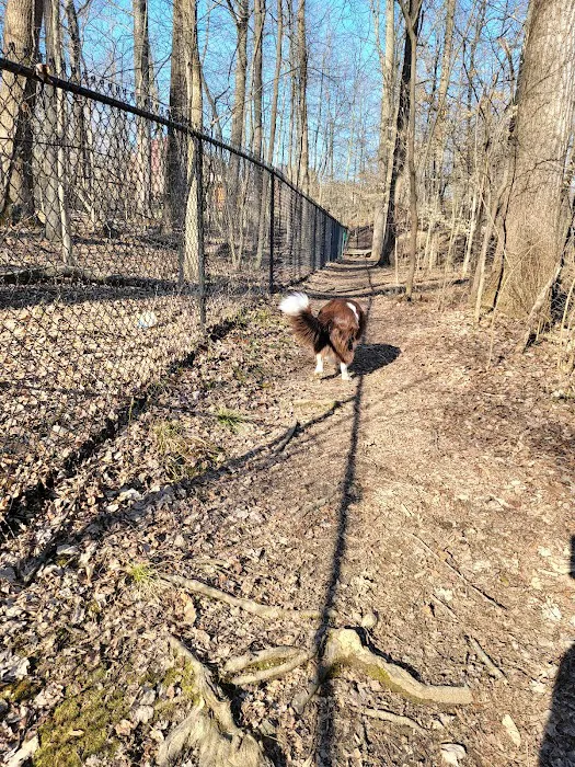 Waverly Dog Run 8