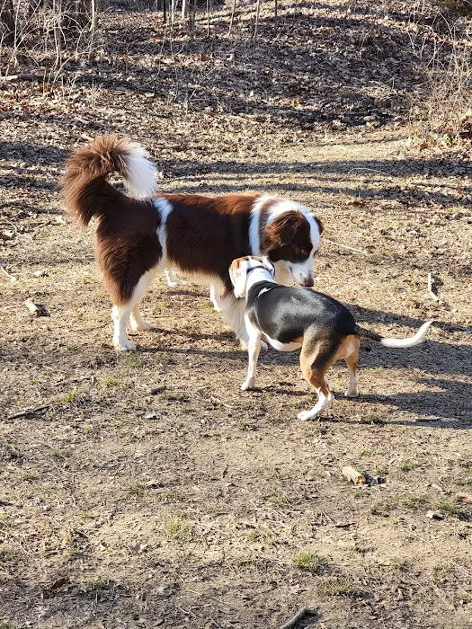 Waverly Dog Run 5