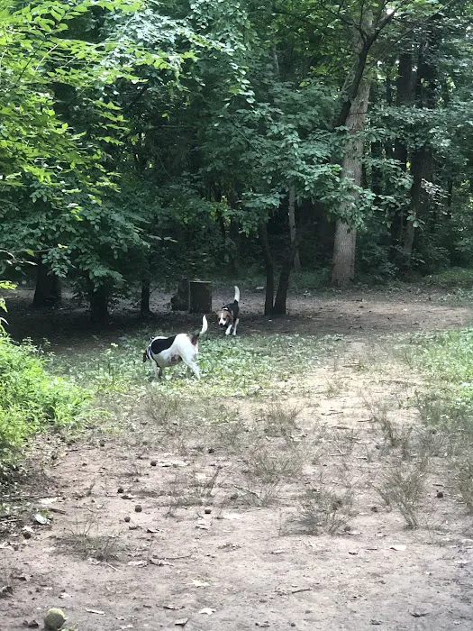 Waverly Dog Run 1