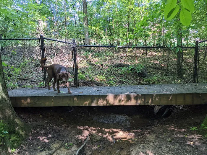 Waverly Dog Run 7