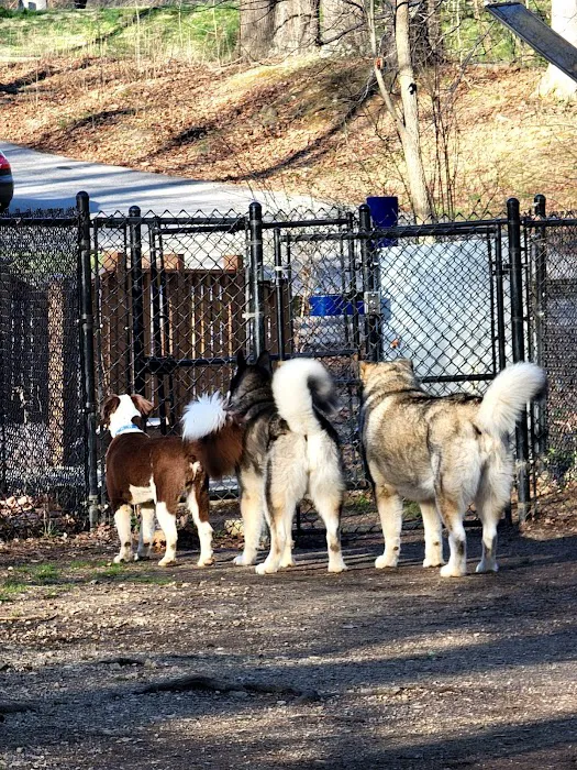 Waverly Dog Run 3