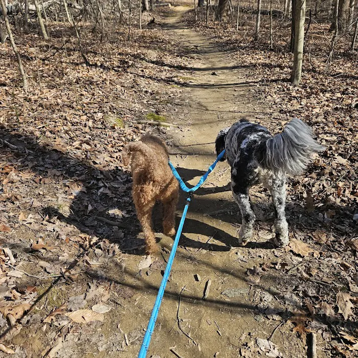 Waverly Dog Run 10