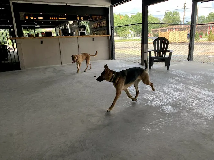 Club K9 Dog Park Bar 7