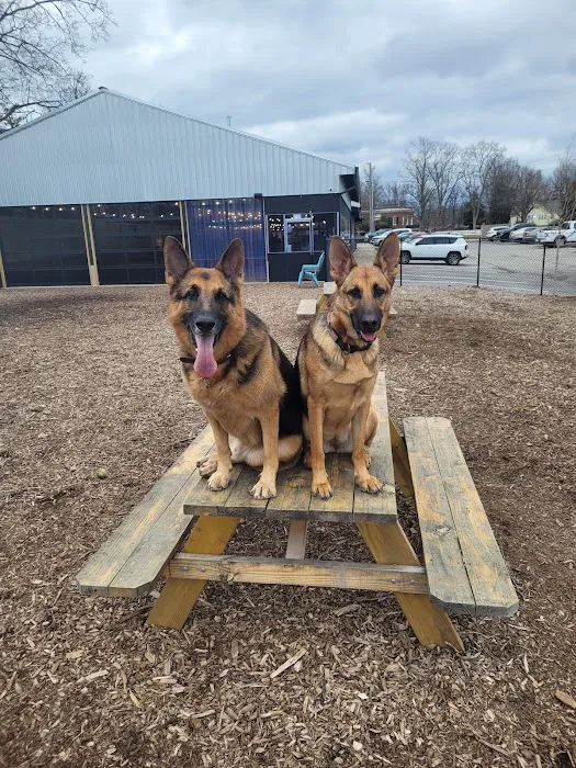 Club K9 Dog Park Bar 10