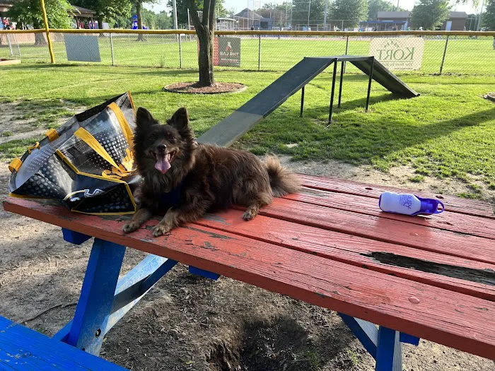 Sellersburg Dog Park 8