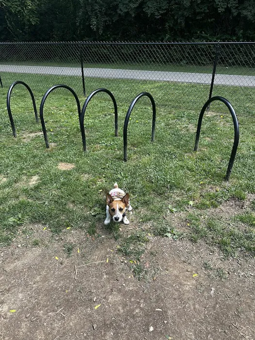 Sellersburg Dog Park 6