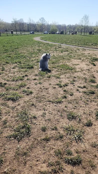 Barklands 10
