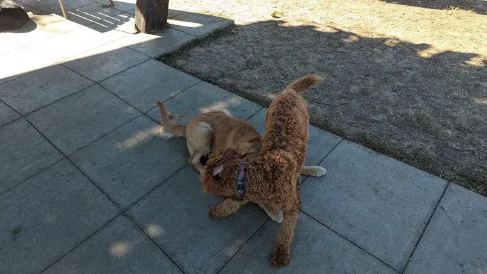 Barklands 6