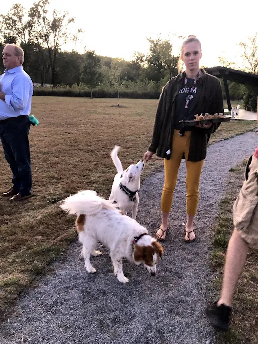 Barklands 4