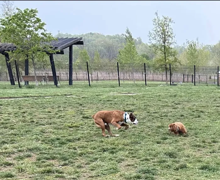 Barklands 3