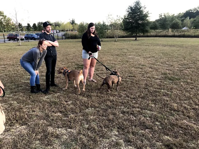 Barklands 7