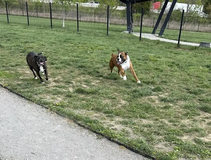 Barklands 2