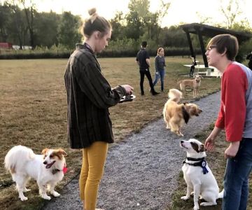 Barklands