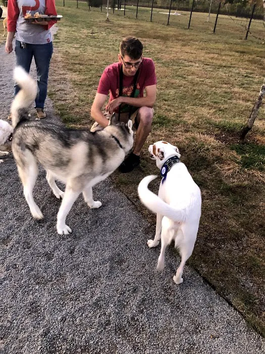 Barklands 5