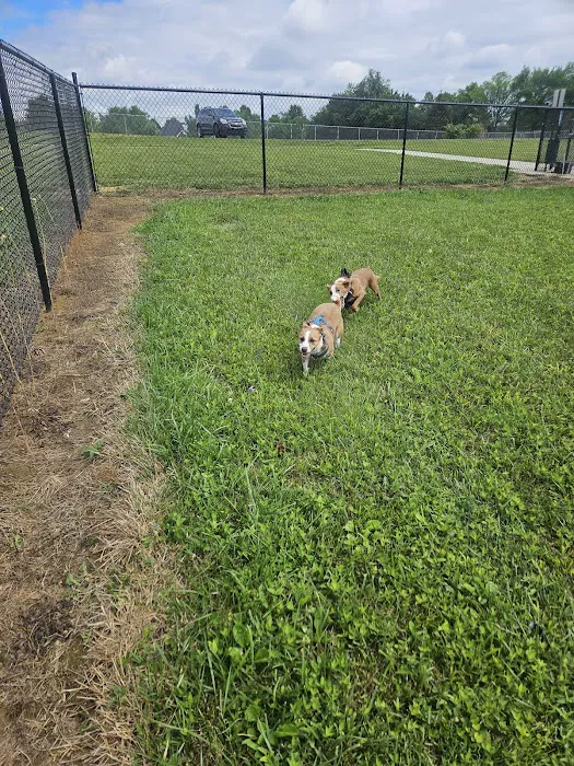 Peggy Baker Park Dog Run 3