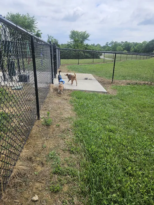 Peggy Baker Park Dog Run 2