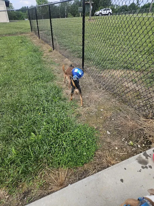 Peggy Baker Park Dog Run 6