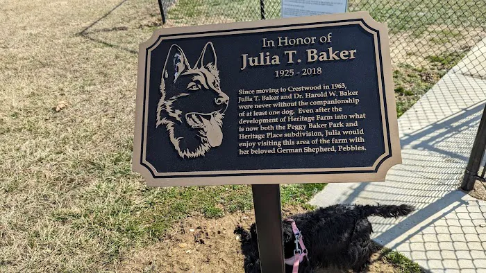 Peggy Baker Park Dog Run 10