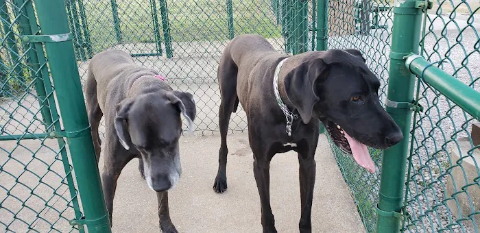Fort Knox Dog Park 6