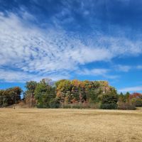 Fort Knox Dog Park ico