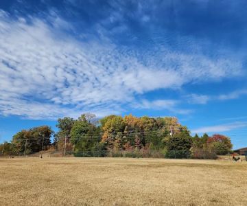 Fort Knox Dog Park