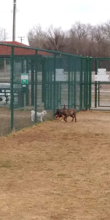 Fort Knox Dog Park 10