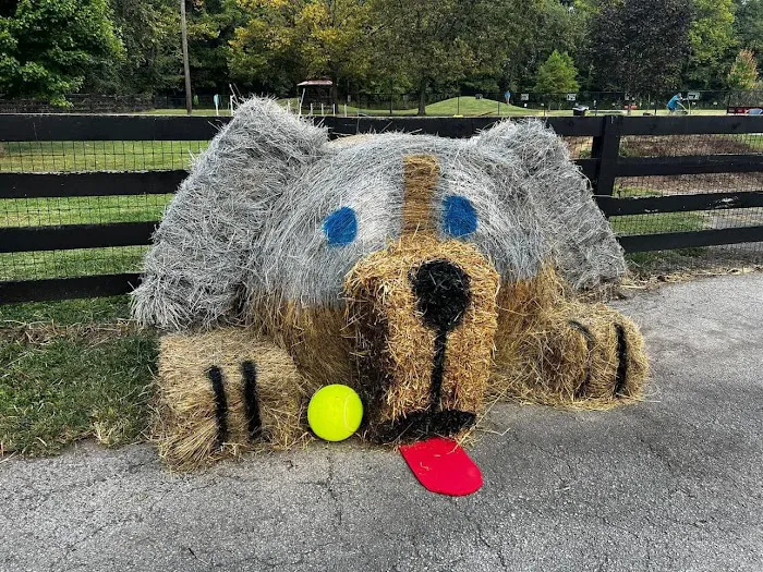 Bourbon City Bark Park 6