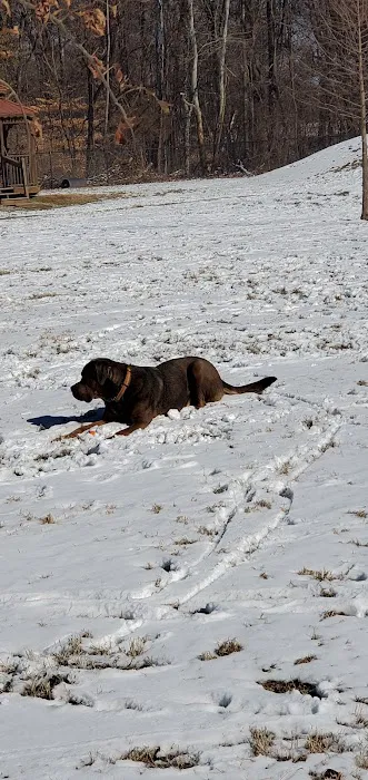 Bourbon City Bark Park 7