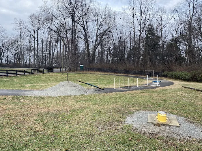 Bourbon City Bark Park 3