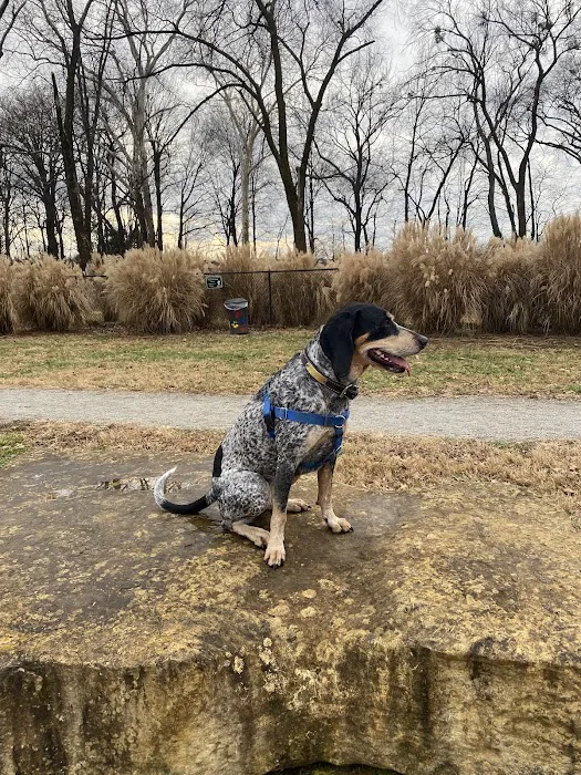 Bourbon City Bark Park 2