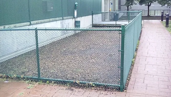Residential Roof Top Dog Park 3