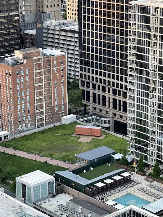 Residential Roof Top Dog Park 2