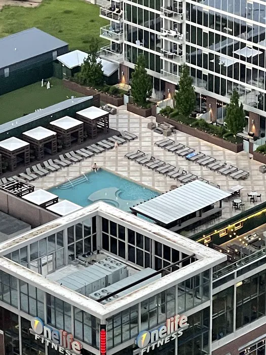 Residential Roof Top Dog Park 4