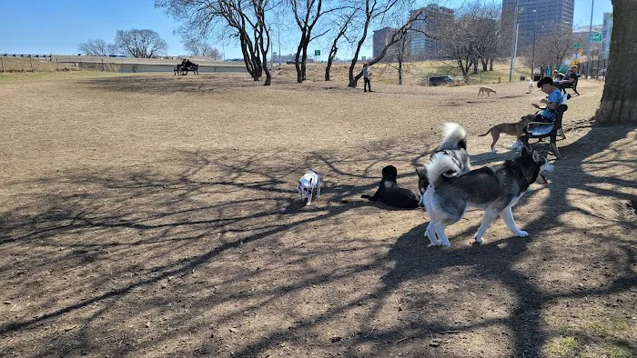 River Market Dog Park 2