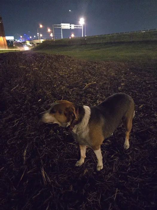 River Market Dog Park 1