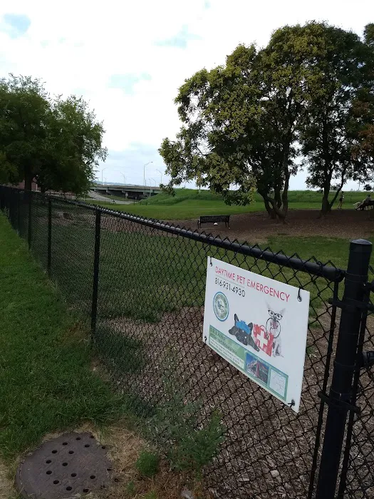 River Market Dog Park 3